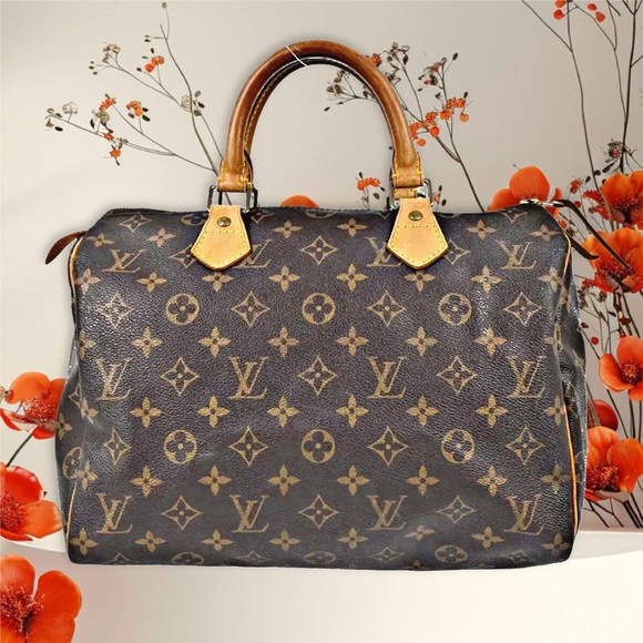 Louis Vuitton Speedy Monogram Canvas Handbag - Picture 2 of 8